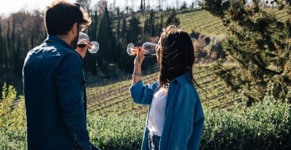 Da Firenze: Tour di mezza giornata sulle colline del Chianti con degustazione di vini