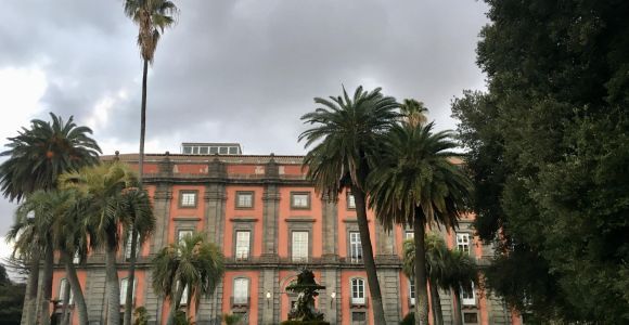 Neapol: Muzeum Narodowe Capodimonte bilet i pemcards
