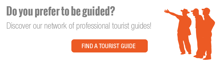 professional guided tours in Pisa