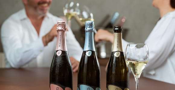Franciacorta: visita al viñedo, bodega y cata Edea To