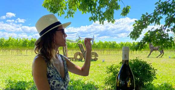 Aquileia: tour e degustação de vinícolas