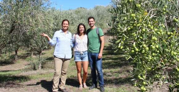 Olive Oil Mill Tour & Guided Tasting near Pesaro
