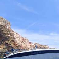 Piombino: Rondleiding per boot naar Palmaiola, Cerboli en Cavo op Elba