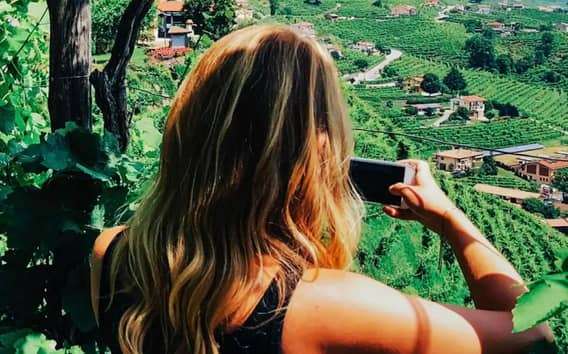 Venecia: recorrido por las bodegas de Prosecco Hills con degustaciones y almuerzo