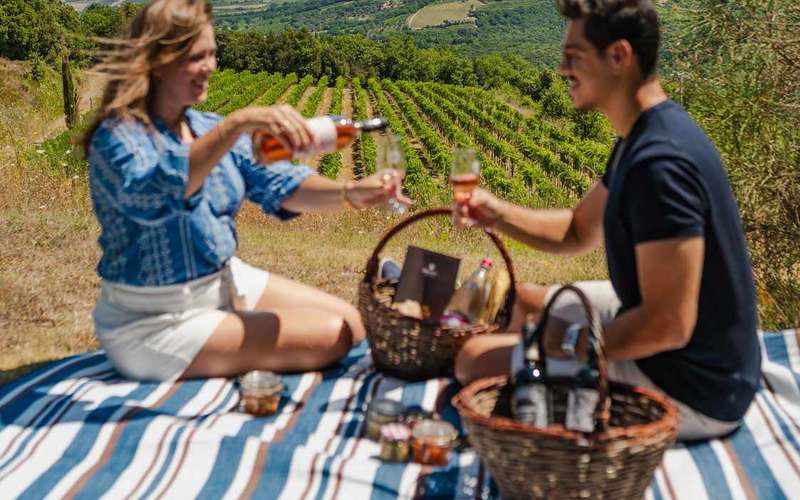 Montalcino: piknik a szőlőültetvényen egy üveg borral