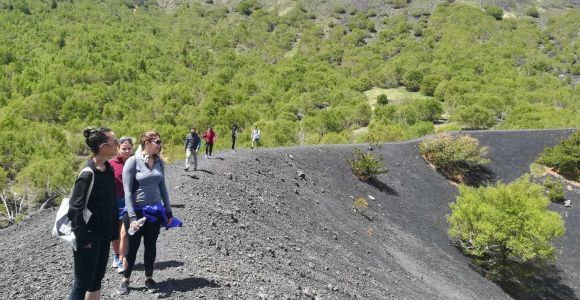 Из Таормины: утренний поход на гору Этна на полдня