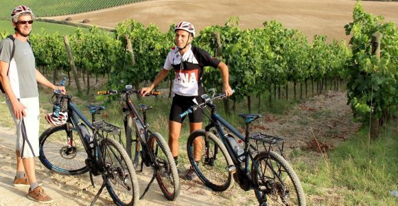 Ze Sieny: Chianti Countryside E-Bike Tour z lunchem i winem