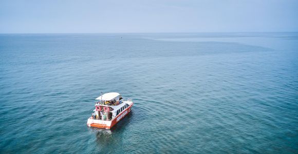 Istria: Visita panorámica en barco de cristal Aquavision por Umag