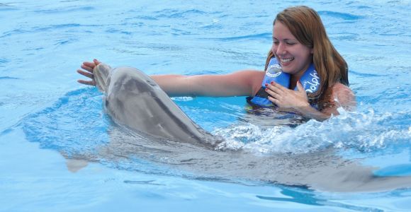 Cancún: programma di nuoto dei delfini su Isla Mujeres con buffet