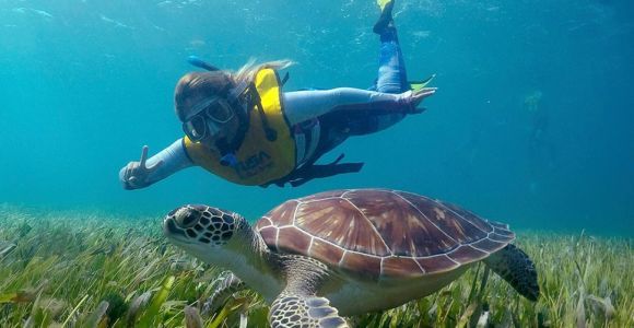 Cancún: gita in barca per lo snorkeling
