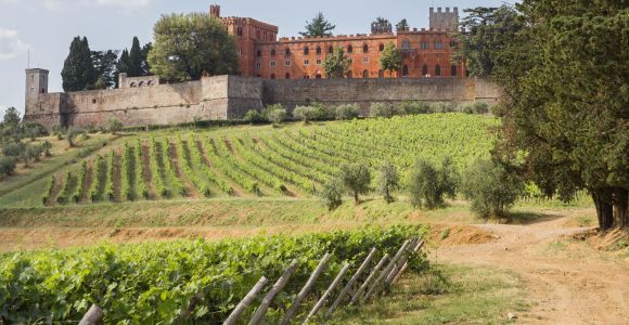 Ze Sieny: Chianti Wine Tour z lunchem