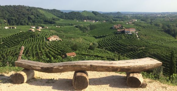 Prosecco: Wine tour & tasting lungo le colline Unesco