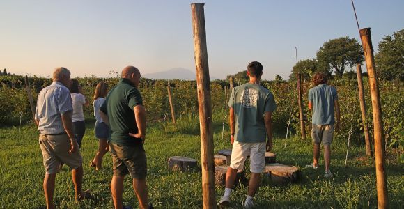 Lazise: Imkerei-Farm-Tour und Verkostungserlebnis
