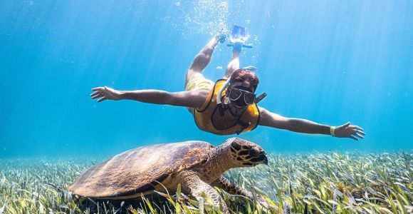 Cancun: Tour in barca per lo snorkeling con trasferimento in hotel e attrezzatura