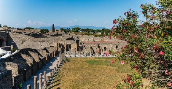 Pompeii: Archaeological Park Tour with Ticket on request