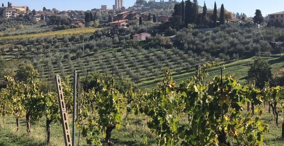 Au départ de Livourne : Excursion à terre à Chianti et San Gimignano