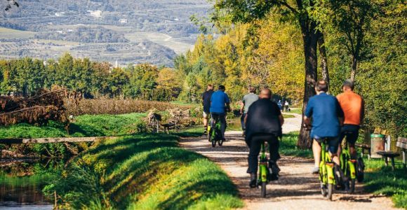 Верона: тур по сельской местности Амароне на электронном велосипеде и дегустация вин