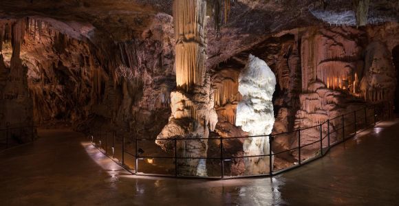 Z Koper: 5-godzinna wycieczka do jaskini Postojna i zamku Predjama