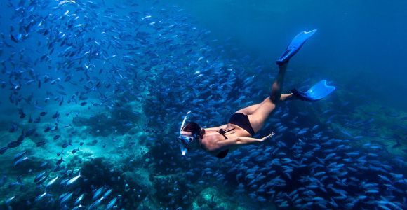 Bali : Lagon bleu : plongée avec masque et tuba et visite des cascades avec déjeuner