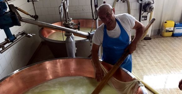 Desde Bolonia: Excursión gastronómica por la excelencia de Emilia