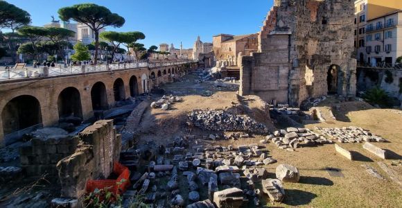 Рим: индивидуальный тур по Колизею, Палатинскому холму и Римскому форуму
