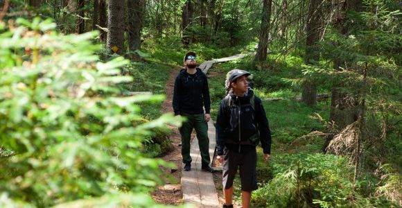 From Helsinki: Magical Taiga Hike in Liesjärvi National Park