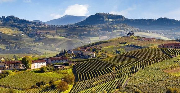 Visite privée : Dégustation de vin Barolo dans la région des Langhe au départ de Turin