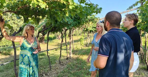 Cavaion: Degustacja wina i potraw nad jeziorem Garda z wycieczką po winnicy