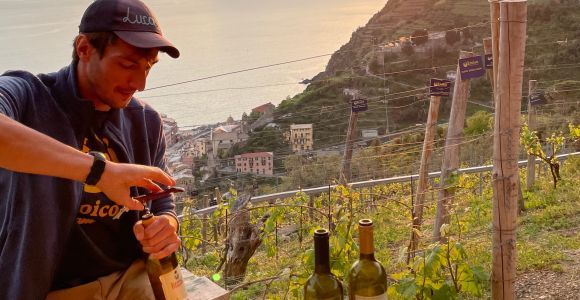 Vernazza: Excursión panorámica de senderismo por viñedos con cata de vinos