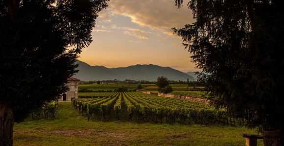 Von Bergamo aus: Weinkeller-Tour in Franciacorta mit Mittagessen