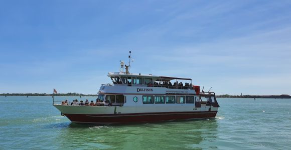 Desde Venecia: Tour en barco panorámico de Murano y Burano