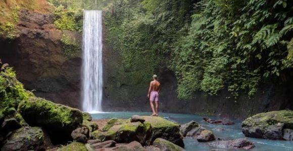 Ubud: Wasserfälle, Wassertempel und Reisterrassen Private Tour