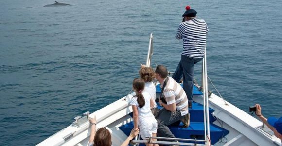 Билет в Аквариум Генуи и круиз с наблюдением за китами
