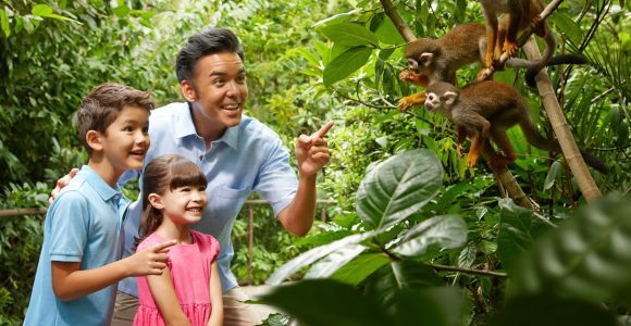 Zoo di Singapore: Biglietto elettronico d'ingresso di 1 giorno