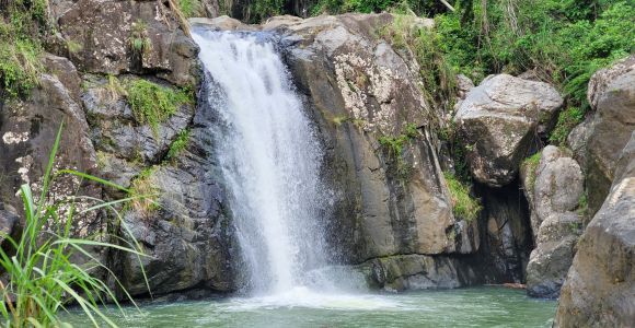 Depuis San Juan : Randonnée et saut de falaise à la cascade d'El Yunque