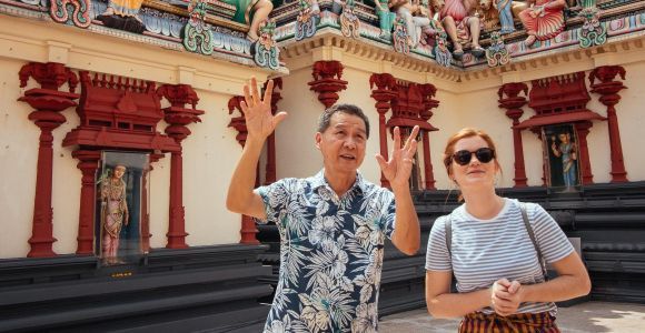 Singapore: tour privato di 7 ore a copertura totale con un locale