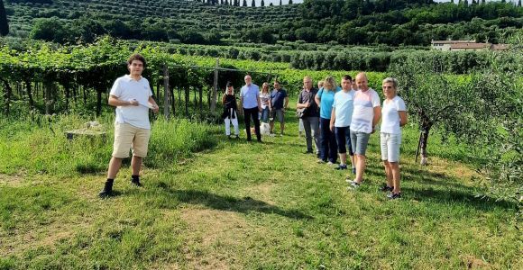 Bardolino: Wycieczka po winnicy z degustacją wina, oliwy z oliwek i potraw