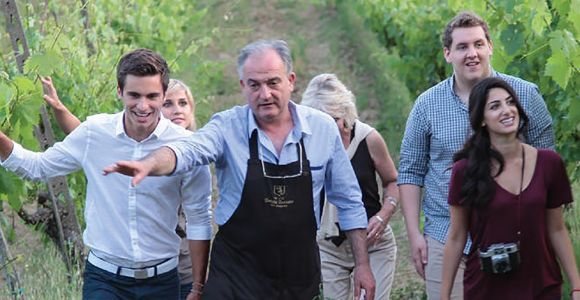 San Gimignano: Vineyard Walk with Wine Tasting in winery
