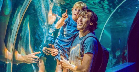 Dubai: Biglietto per l'acquario e lo zoo sottomarino e Penguin Cove