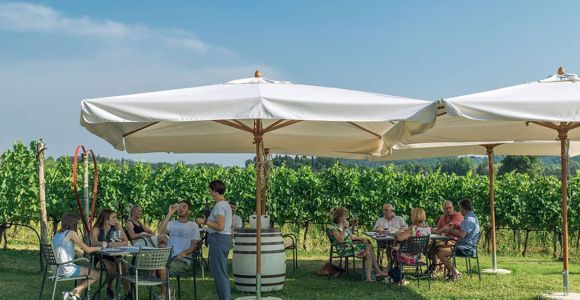 Lago de Garda: Degustaciones enológicas y gastronómicas en los viñedos