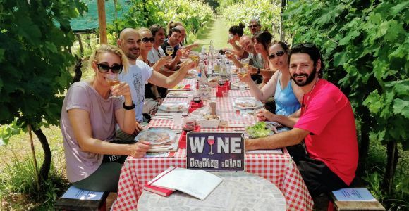 Lucca: Geführte E-Bike- und Weintour