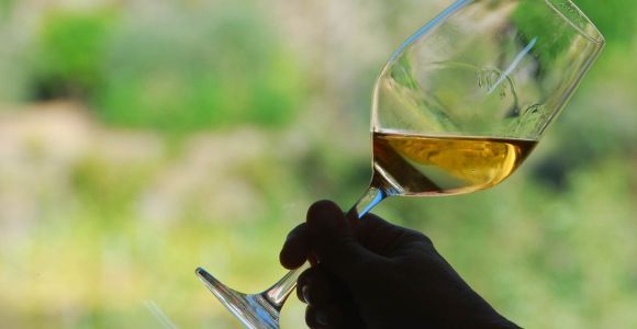 Manarola: Degustacja wina Cinque Terre
