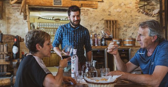 Z Werony: Zwiedzanie winiarni Valpolicella z winami Amarone