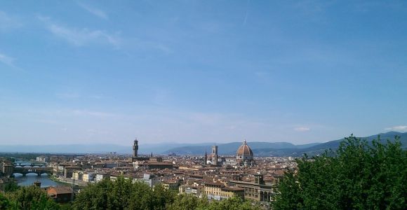 Флоренция: 4-часовой частный тур, включая Уффици и Академию