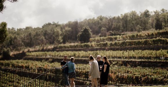 Linguaglossa: degustacja wina w Etna Nord