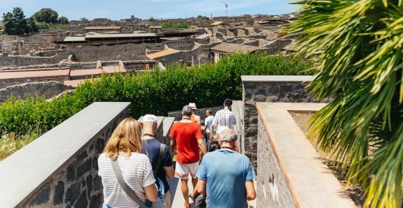 Из Неаполя: руины Помпеи и однодневный тур на гору Везувий