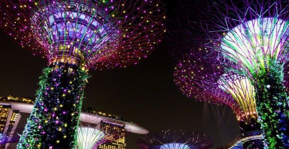 Singapore: tour privato personalizzabile di Singapore