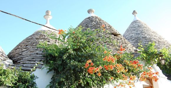 Alberobello : visite à pied de l'histoire
