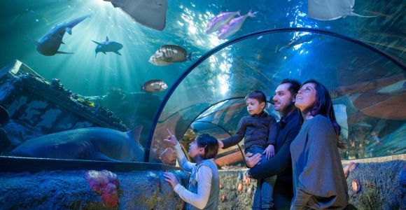 Akwarium Gardaland SEA LIFE: Bilet wstępu na dzień otwarty