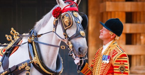 Букингемский дворец: входной билет на Королевские конюшни